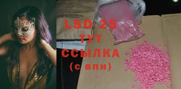 индика Беломорск
