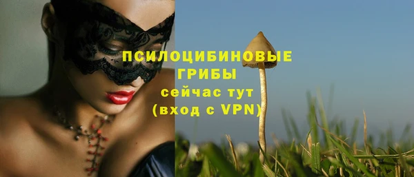 мяу мяу мука Алексеевка