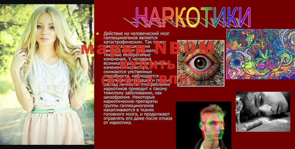 индика Беломорск