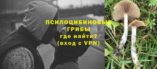 спайс Балабаново