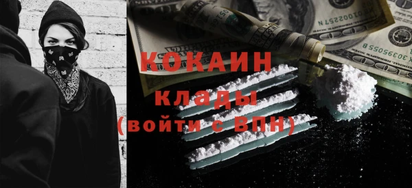 индика Беломорск