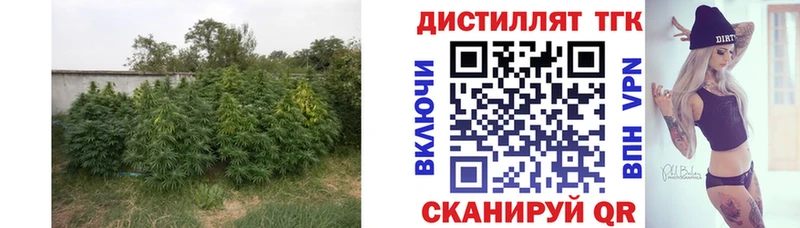 Купить где  Удачный  ТГК Wax 