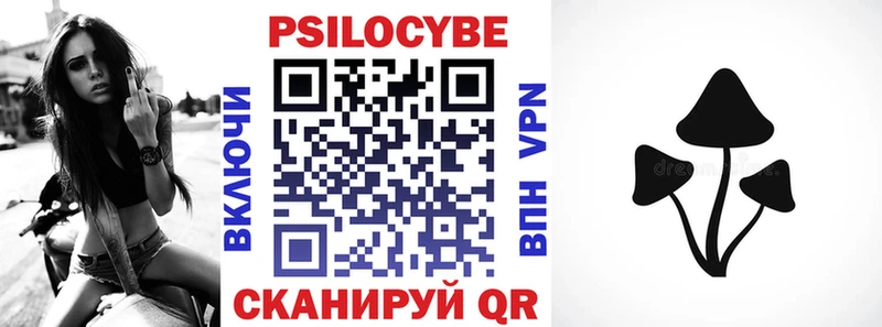 Псилоцибиновые грибы мицелий  Купить  Удачный 